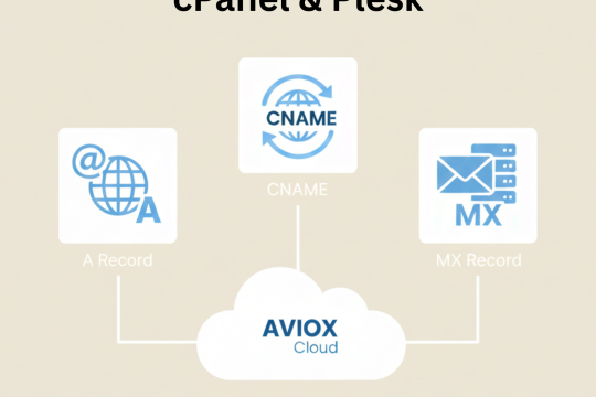 Using Nameservers in cPanel & Plesk: How to Properly Point Your Domain on AVIOX Cloud